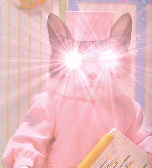 猫眼闪光.gif
