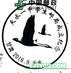 43天水一中学生邮局105.png