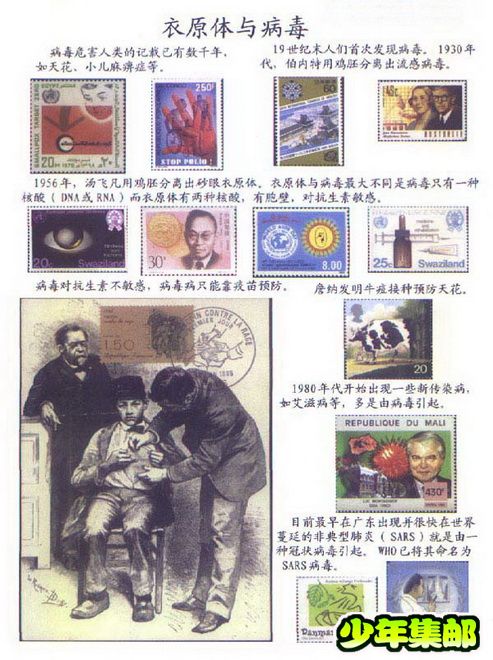 一页邮集 衣原体与病毒.jpg
