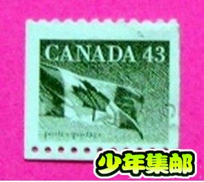 加拿大10.jpg