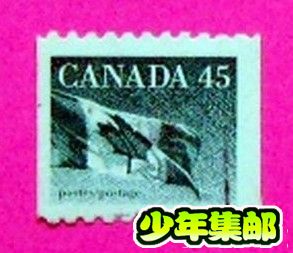 加拿大11.jpg