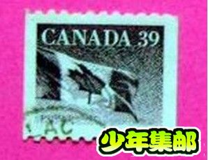 加拿大7.jpg