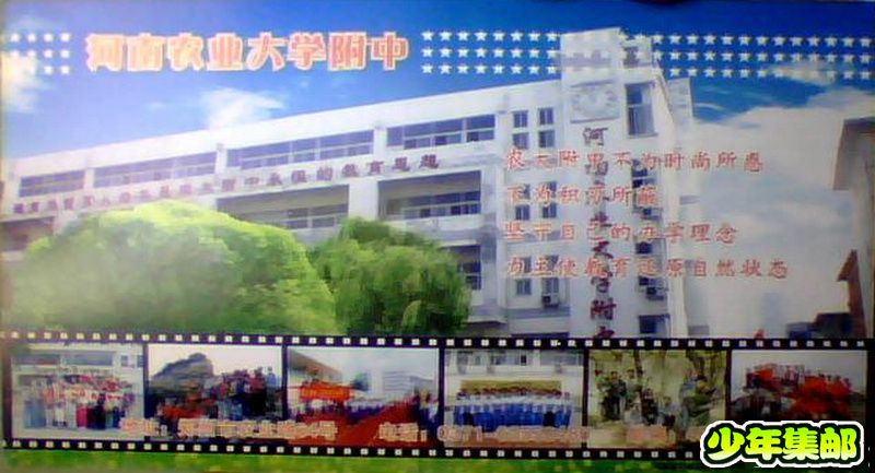 图片 031.jpg