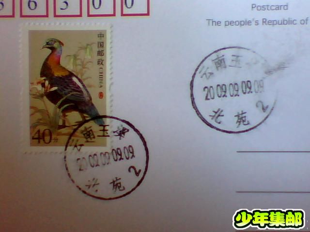 图片 009.jpg