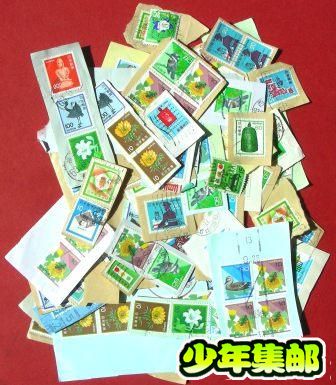 DSCN4530.JPG