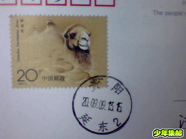 图片 005.jpg