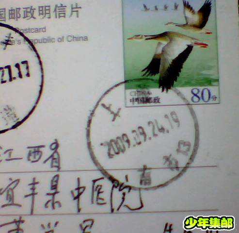 图片 026.jpg