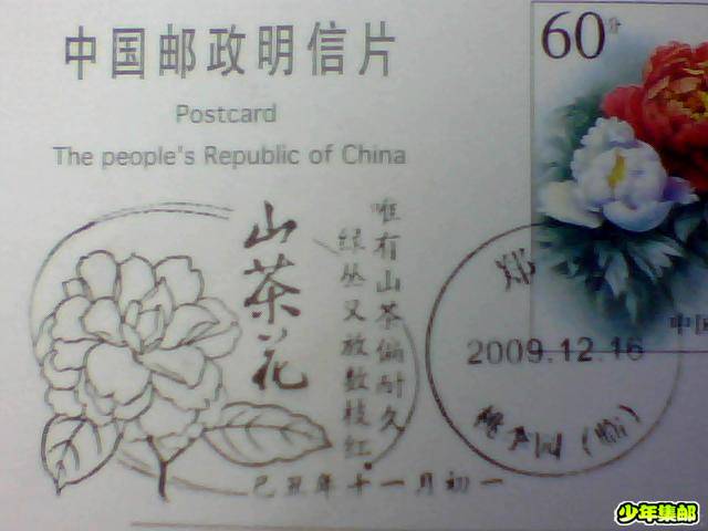 图片 002.jpg