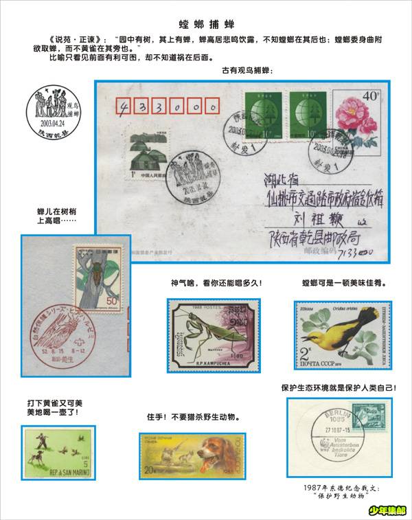003-螳螂捕蝉-72dpi.jpg