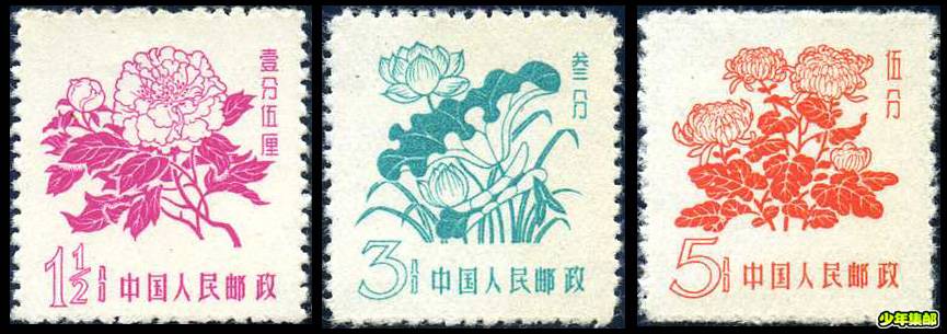 普10 花卉普票