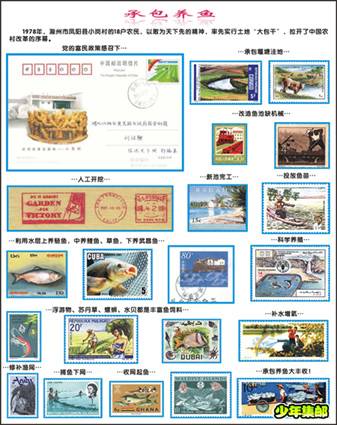 鱼塘-72dpi.jpg