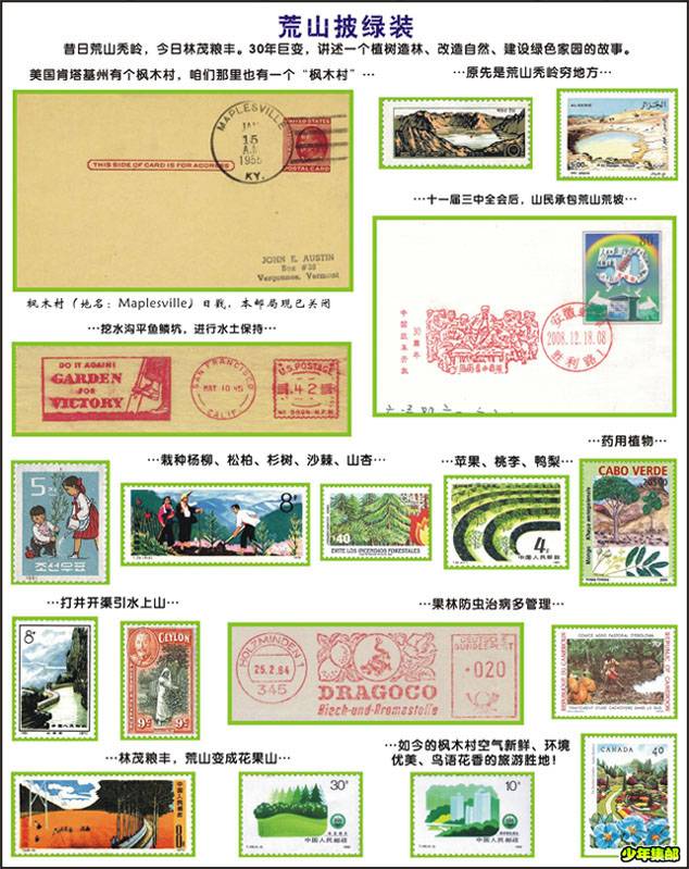 0-荒山披绿装-72dpi.jpg