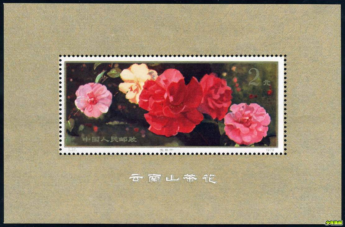 T37M云南山茶花（小型张）